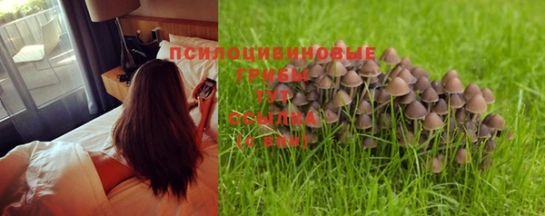 таблы Магадан