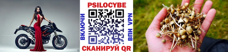 Псилоцибиновые грибы Cubensis  Купить  Находка 